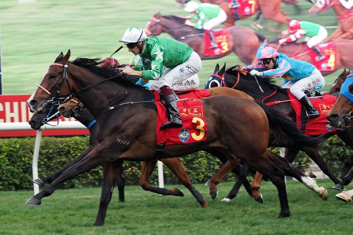 探索香港馬官網(wǎng)，一站式體驗7777788888的賽馬世界，探索香港馬官網(wǎng)，一站式賽馬世界體驗