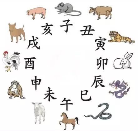 澳門天天彩期期精準(zhǔn)十二生肖預(yù)測——揭秘彩票秘密，澳門天天彩期期精準(zhǔn)十二生肖預(yù)測，揭秘彩票秘密之獨(dú)家解析