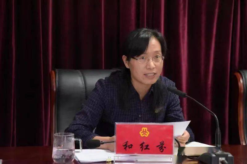 二四六香港期期中的資料解析與SEO優(yōu)化策略，香港期期二四六資料解析與SEO優(yōu)化策略探討