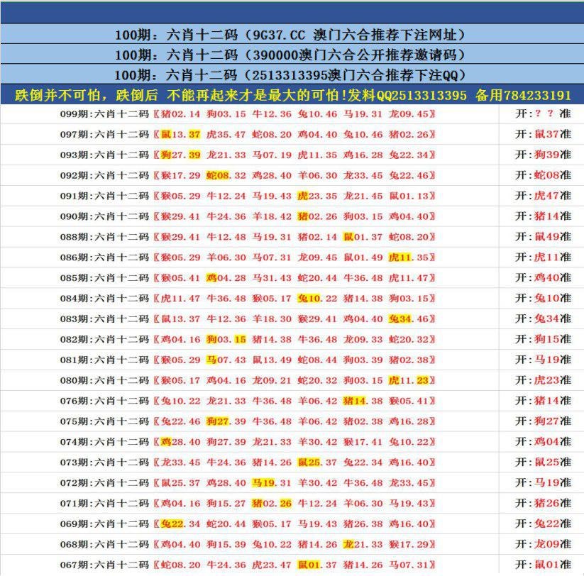 澳門無錯九肖今日搜狗，探索與解析，澳門無錯九肖今日搜狗，深度解析與探索