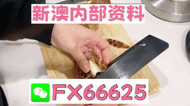 澳門九點半9點半網站——探索其魅力與優(yōu)勢，澳門九點半網站，魅力與優(yōu)勢探索