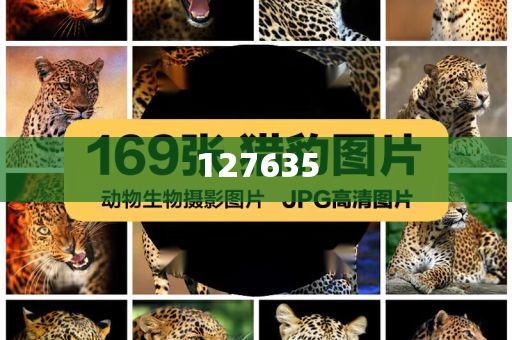 精準(zhǔn)新傳真，揭秘數(shù)字組合7777788888的神秘面紗，揭秘數(shù)字組合7777788888的神秘面紗，精準(zhǔn)新傳真解讀