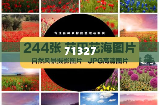 探索777788888管家婆網，一站式解決方案的綜合服務平臺，一站式解決方案的綜合服務平臺，探索777788888管家婆網