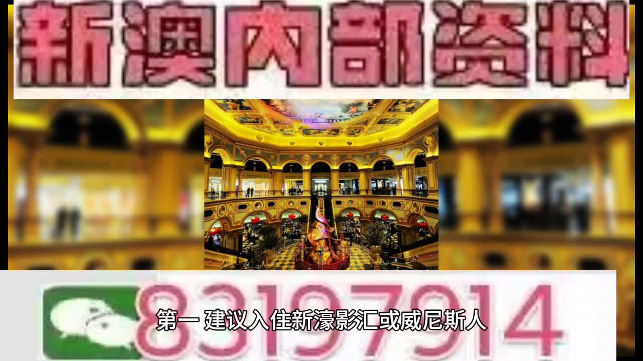 新澳門特馬王，探索與解析，新澳門特馬王，深度探索與解析