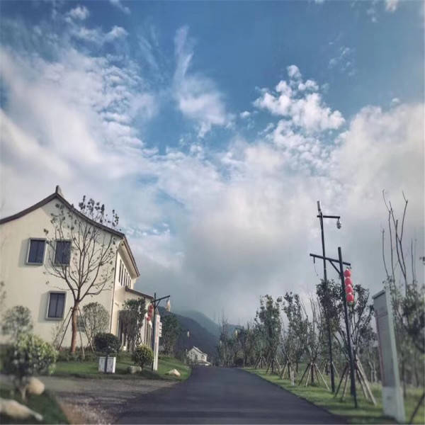 新奧今晚開一肖一特講解詞語，揭秘生肖與特肖的獨特魅力，揭秘生肖與特肖的獨特魅力，新奧今晚一開一特講解詞語