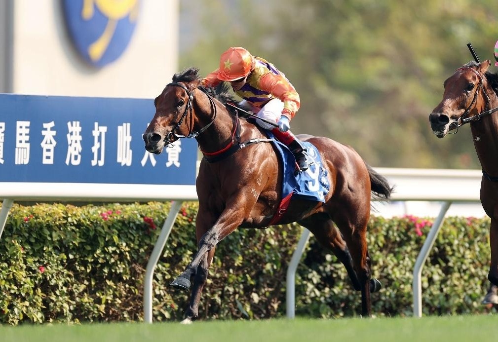 香港賽馬會，探索賽馬運動的魅力與激情的交匯點——7777788888的獨特魅力，香港賽馬會，賽馬運動的激情交匯點與獨特魅力探索