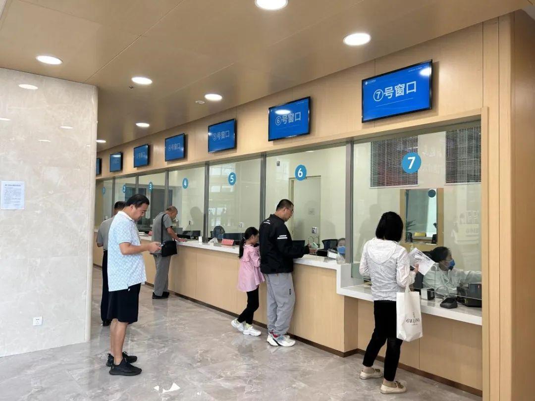 新門內(nèi)部資料免費(fèi)下載——探索與揭秘，新門內(nèi)部資料揭秘，免費(fèi)下載與探索之旅
