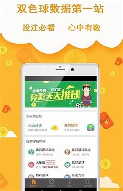 王中王493333中特網，探索與解析，王中王493333中特網，深度探索與解析