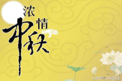 天天開好彩免費(fèi)資料大全——你不可錯過的幸運(yùn)之門，天天開好彩免費(fèi)資料大全——開啟幸運(yùn)之門的必備指南