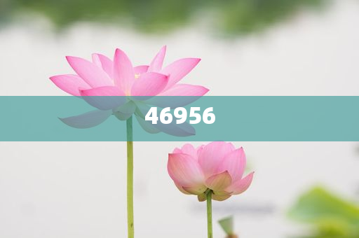 新奧集團(tuán)，邁向2025，天天開好彩的愿景與挑戰(zhàn)，新奧集團(tuán)邁向2025，實(shí)現(xiàn)天天開好彩的愿景與挑戰(zhàn)