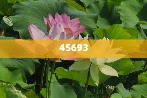 全新升級(jí)，7777888888精準(zhǔn)新管家，全新升級(jí)管家，精準(zhǔn)管理，一站式服務(wù) 7777888888新管家重磅來襲