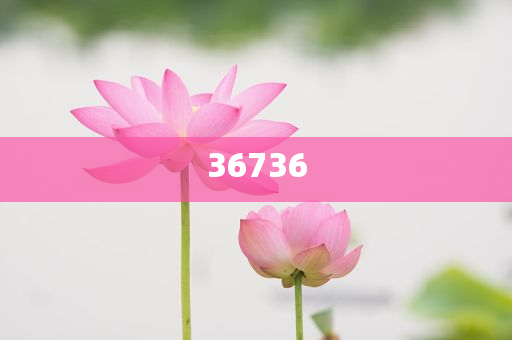 揭秘精準(zhǔn)新傳秘籍，7777788888免費(fèi)策略與SEO優(yōu)化，揭秘精準(zhǔn)新傳秘籍，免費(fèi)策略與SEO優(yōu)化指南
