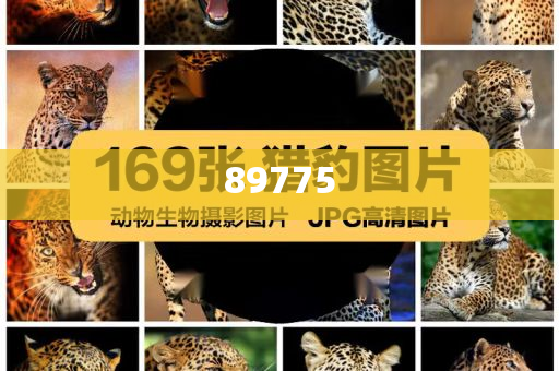 關(guān)于新奧歷史開獎(jiǎng)記錄的最新信息，今天公布了嗎？，新奧歷史開獎(jiǎng)記錄最新信息公布了嗎？