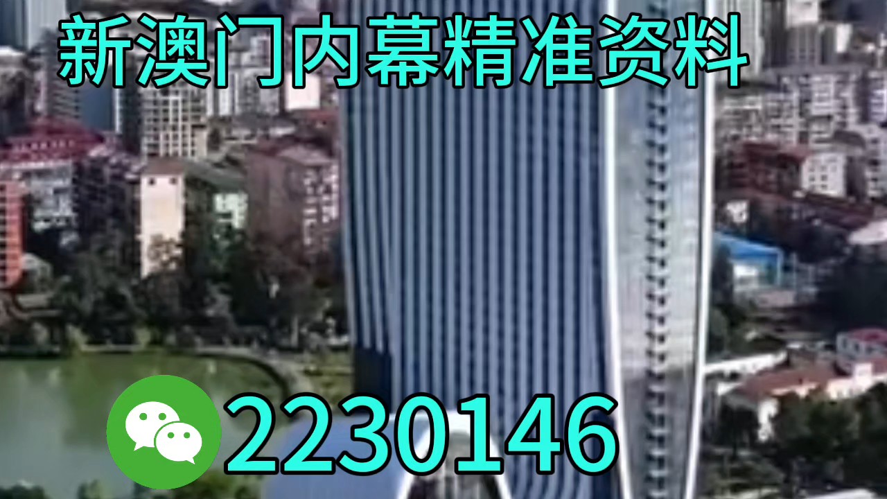 新澳特碼生肖全年走勢(shì)解析與預(yù)測(cè)，新澳特碼生肖全年走勢(shì)解析及精準(zhǔn)預(yù)測(cè)