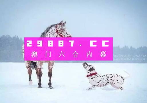 澳門一肖一碼狀元紅，揭秘彩票背后的秘密與策略，澳門彩票揭秘，狀元紅背后的秘密與策略解析