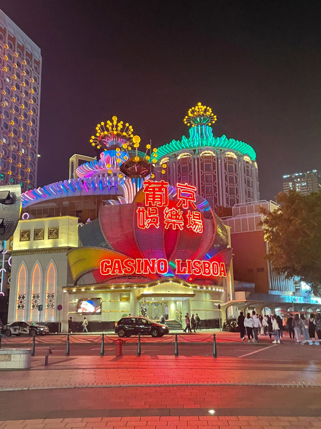 澳門(mén)今晚必開(kāi)一肖一特芳草地，探索生肖與運(yùn)勢(shì)的神秘面紗，澳門(mén)生肖運(yùn)勢(shì)揭秘，探索今晚必開(kāi)一肖一特芳草地神秘面紗的運(yùn)勢(shì)之旅