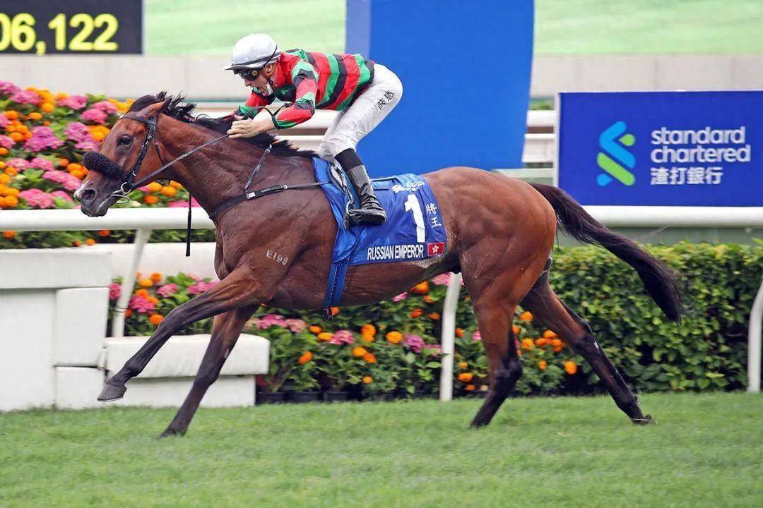 香港馬賽事，探索數(shù)字背后的激情與榮耀 7777788888，香港馬賽事，數(shù)字背后的激情與榮耀