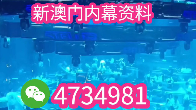 揭秘未來之星，2025新澳王中王，揭秘未來之星，2025新澳王中王風(fēng)采展示