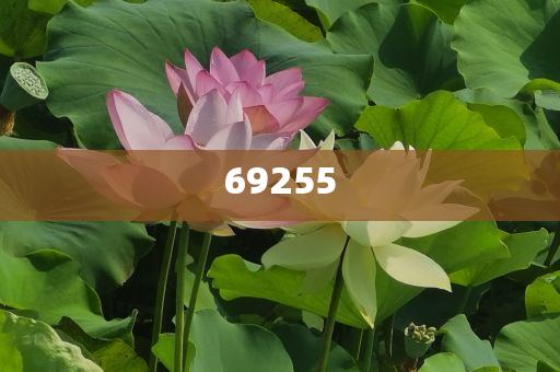 最新版本詳細(xì)介紹