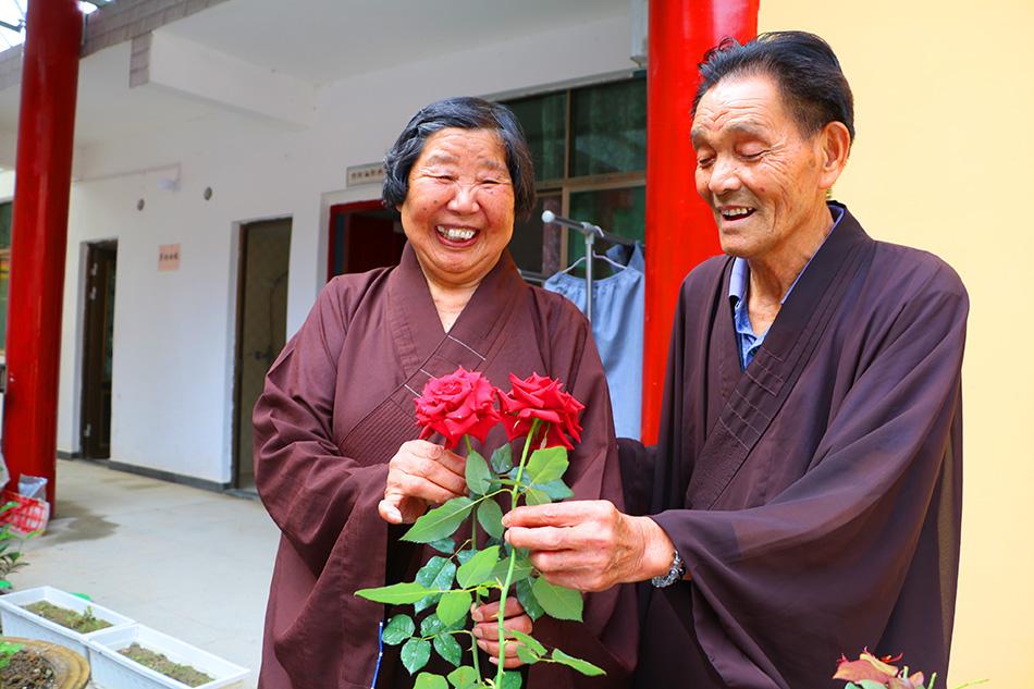 揭秘最準(zhǔn)一碼一肖，揭秘背后的秘密與真相，鳳凰網(wǎng)獨(dú)家報(bào)道，獨(dú)家揭秘，最準(zhǔn)一碼一肖背后的秘密真相（鳳凰網(wǎng)報(bào)道）
