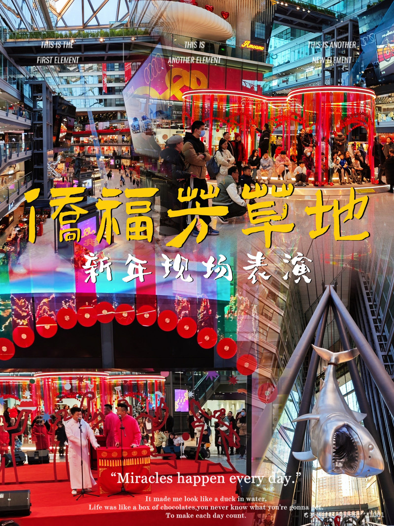 最新揭秘，2024新澳芳草地全方位資料詳解，揭秘2024新澳芳草地全方位資料，最新詳解