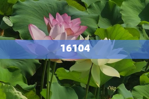 新奧600圖庫(kù)2025，探索與前瞻，新奧600圖庫(kù)2025，深度探索與未來(lái)展望