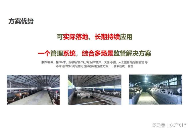 探索新澳芳草地，正版資料的免押之旅（2025年最新資訊），探索新澳芳草地，正版資料免押之旅（最新資訊）