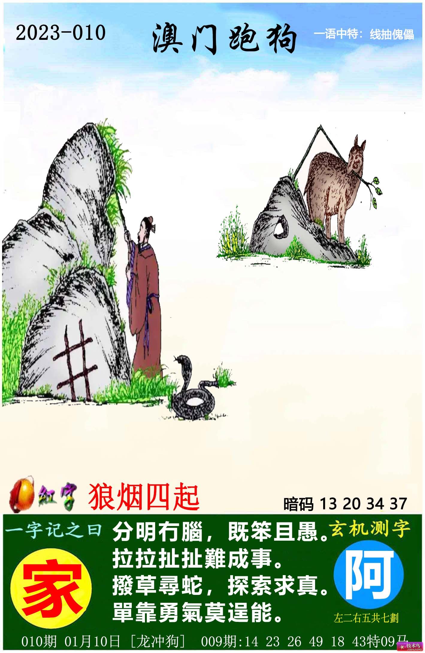 最新更新內(nèi)容，探索7777788888跑狗圖的奧秘，揭秘跑狗圖奧秘，最新更新探索7777788888的神秘面紗