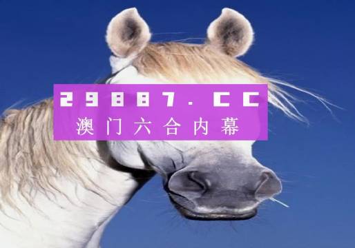 澳門今晚一肖一碼，探索與預(yù)測，澳門今晚一肖一碼，探索幸運與預(yù)測之謎