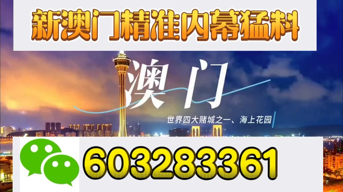新澳門今晚開獎結(jié)果揭曉，探索彩票背后的秘密與期待，新澳門今晚開獎結(jié)果揭曉，彩票背后的秘密與期待揭曉之夜