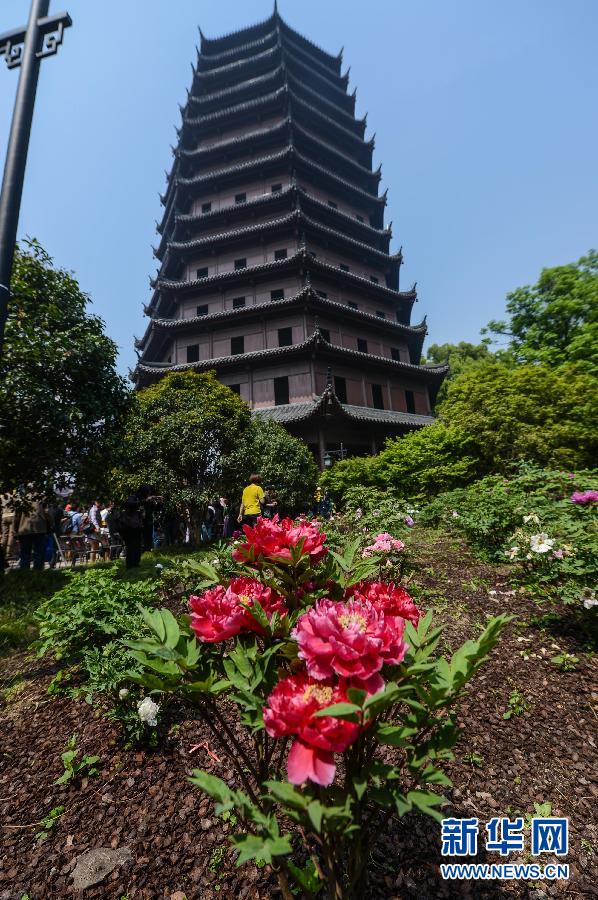 六和彩開碼資料網(wǎng)——探索彩票世界的門戶，六和彩開碼資料網(wǎng)，彩票世界探索之門