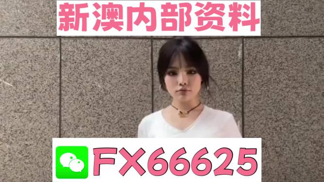 澳門資料大全正版資料查詢，探索澳門的文化與歷史深度之旅，澳門文化與歷史深度探索，正版資料大全及查詢指南