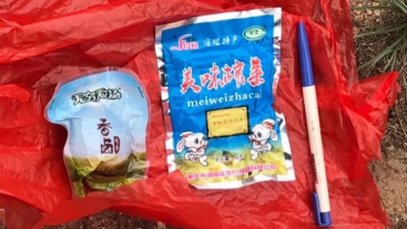 澳門最精準龍門，探索真實的精準之道，澳門最精準龍門，揭秘真實精準之道