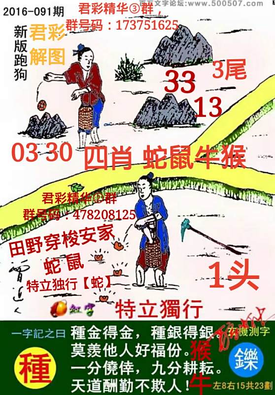 揭秘7777788888精準新跑狗圖，全方位解讀其背后的秘密，揭秘新跑狗圖7777788888，全方位解讀背后的真相與秘密