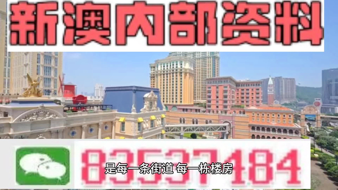 新澳門最精準(zhǔn)正最精準(zhǔn)龍門——探索澳門的魅力與機(jī)遇，澳門魅力與機(jī)遇探索，新澳門最精準(zhǔn)龍門