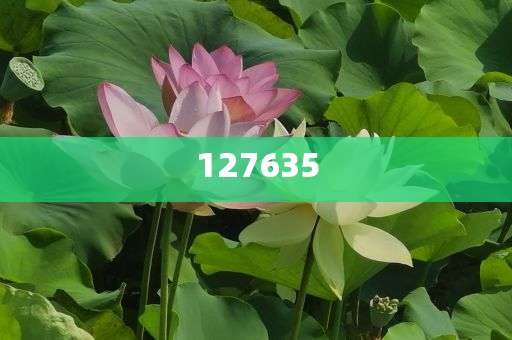 7777788888精準(zhǔn)新傳真