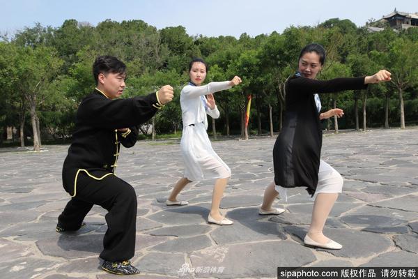 澳門六彩開獎結果記錄，探索與解析，澳門六彩開獎結果記錄解析與探索