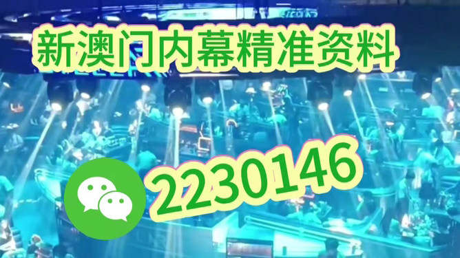 澳門(mén)今晚開(kāi)什么，探索未來(lái)的機(jī)遇與挑戰(zhàn)，澳門(mén)未來(lái)機(jī)遇與挑戰(zhàn)，今晚開(kāi)什么？