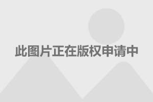 中國武器大全網(wǎng)站SEO文章，中國武器大全網(wǎng)站SEO優(yōu)化詳解