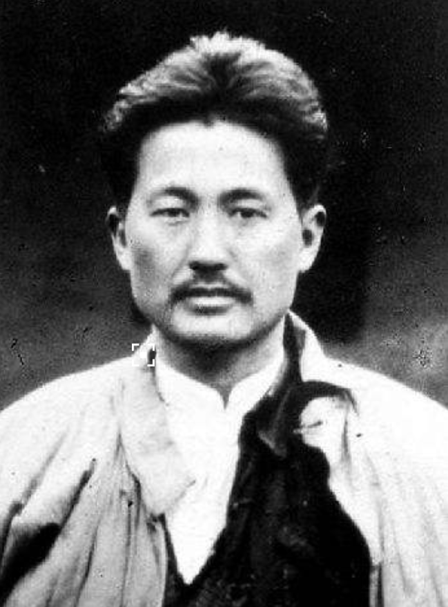 五大軍區(qū)司令員，職責、歷史與未來展望，五大軍區(qū)司令員，職責、歷史沿革與未來展望