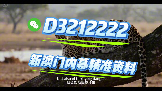 揭秘未來，探索2025開特馬最準(zhǔn)確一肖預(yù)測之道，揭秘未來，探索精準(zhǔn)預(yù)測2025開特馬生肖之道