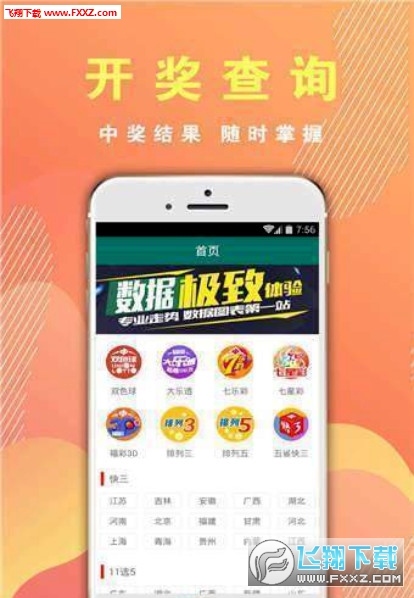 王中王一肖必中四不像，揭秘彩票背后的秘密與策略，揭秘彩票背后的秘密與策略，王中王一肖四不像彩票解析