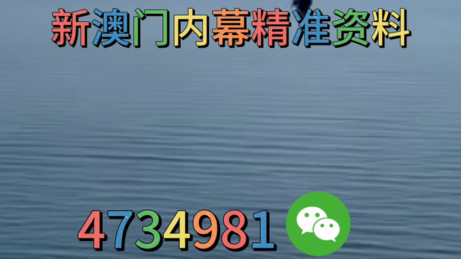 澳門一碼精準，揭秘真相與探索其背后的秘密，澳門一碼精準背后的秘密揭秘與探索