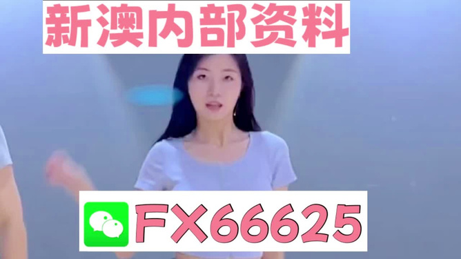 新澳門精準(zhǔn)資料大全——管家婆料解析與探索，澳門精準(zhǔn)資料大全，管家婆料解析與深度探索