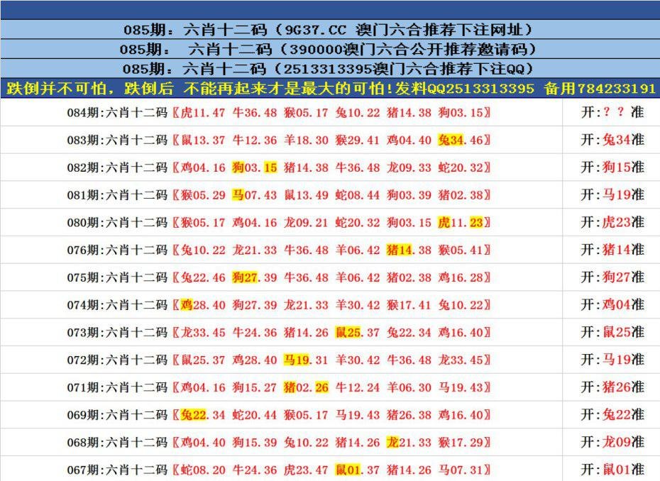 澳門六合正版資料，深度解析與探索，澳門六合正版資料深度解析與探索之旅