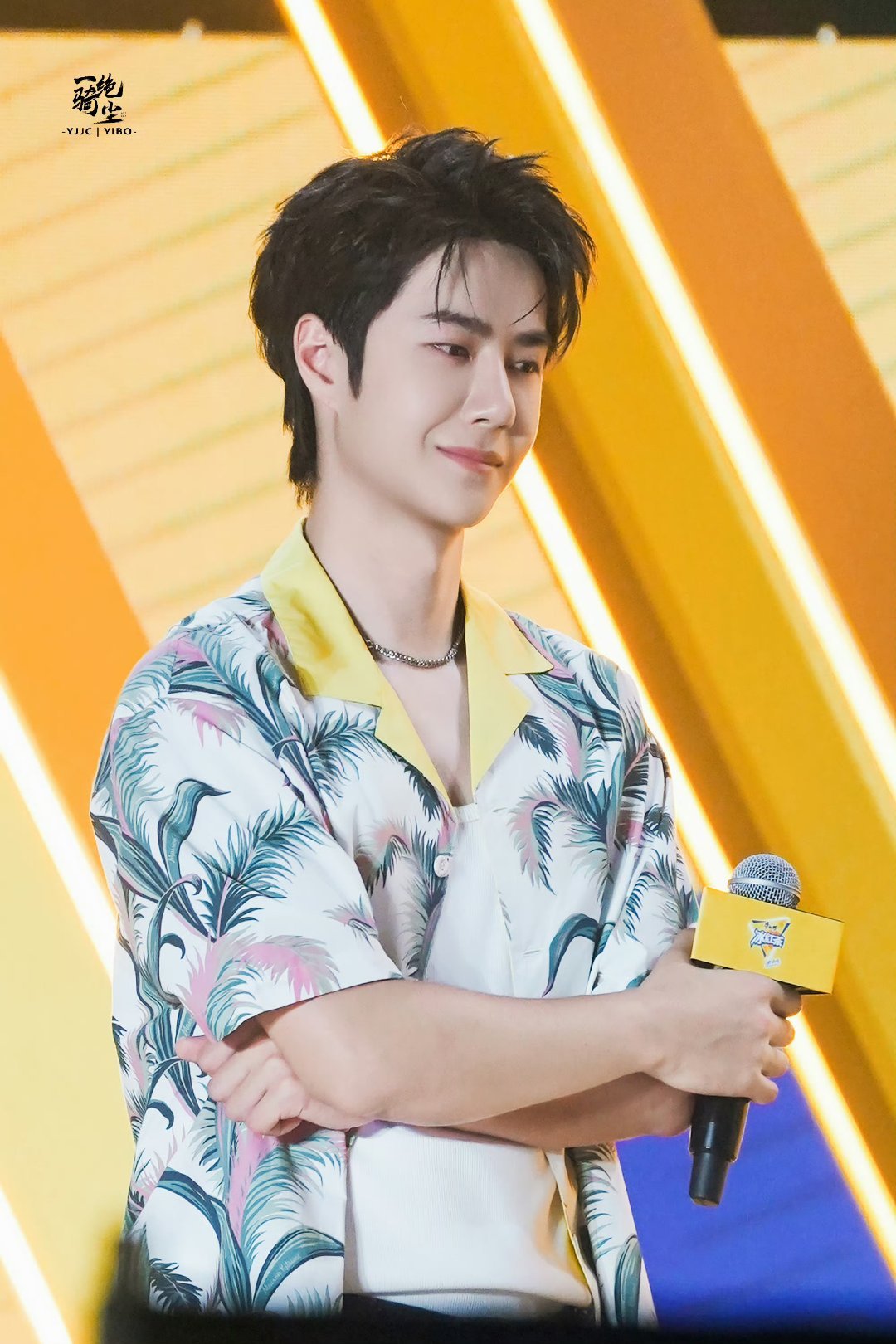 包租婆平特王中王一肖，揭秘角色魅力與背后的故事，揭秘包租婆平特王中王一肖的角色魅力與背后故事