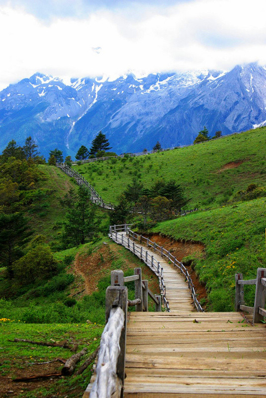 玉龍雪山門票免費(fèi)政策詳解，玉龍雪山門票免費(fèi)政策全面解析