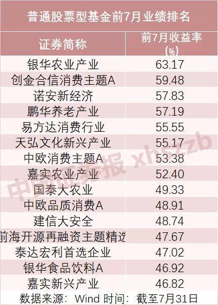 諾安價(jià)值增長(zhǎng)基金的凈值表現(xiàn)與市場(chǎng)洞察，諾安價(jià)值增長(zhǎng)基金凈值表現(xiàn)與市場(chǎng)洞察分析