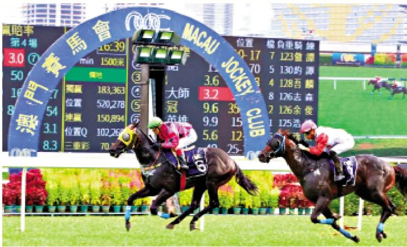 澳門賽馬會(huì)，歷史、文化與激情的交融，澳門賽馬會(huì)，歷史、文化與激情的盛會(huì)