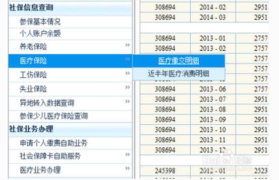 2025新澳門歷史記錄查詢完全指南，澳門歷史記錄查詢完全指南（2025版）
